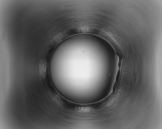 X0000096990645200802081429