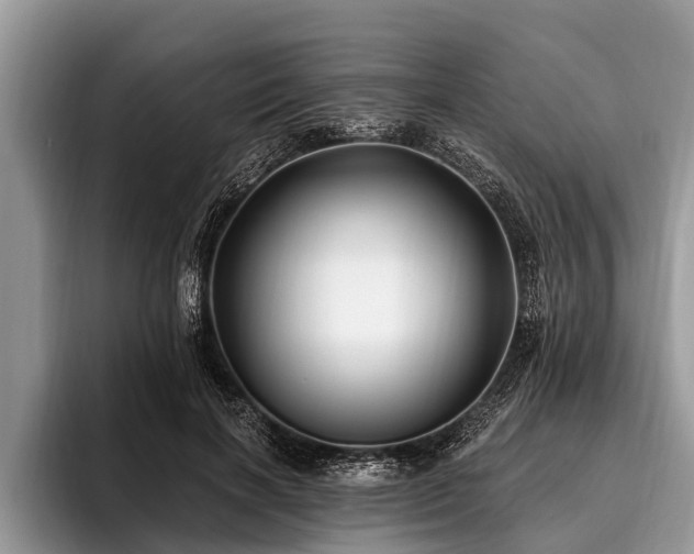X0000096990646200802081429
