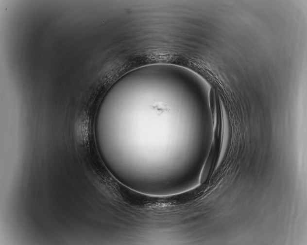 X0000096990647200802081429