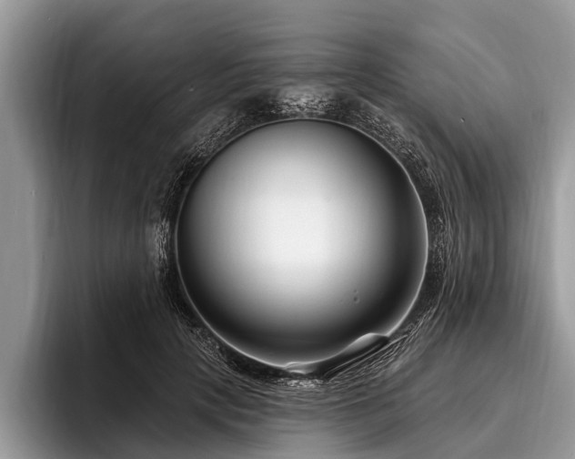 X0000096990649200802081429