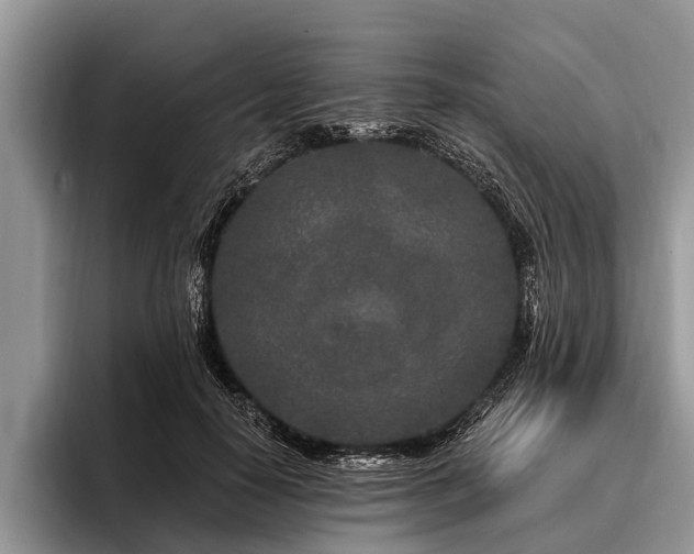 X0000096990650200802081429