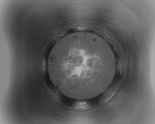X0000096990651200802081429