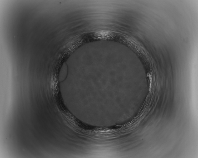 X0000096990653200802081429