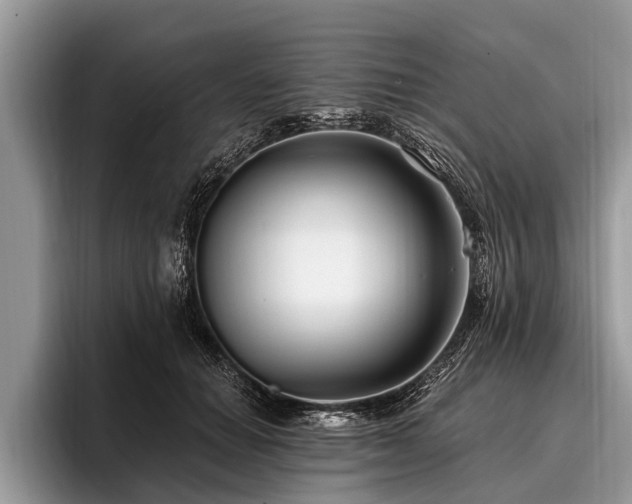 X0000096990654200802081429