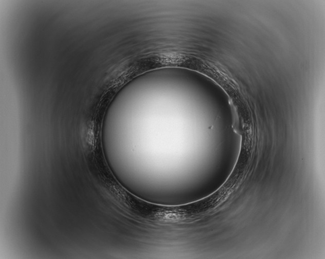 X0000096990655200802081429