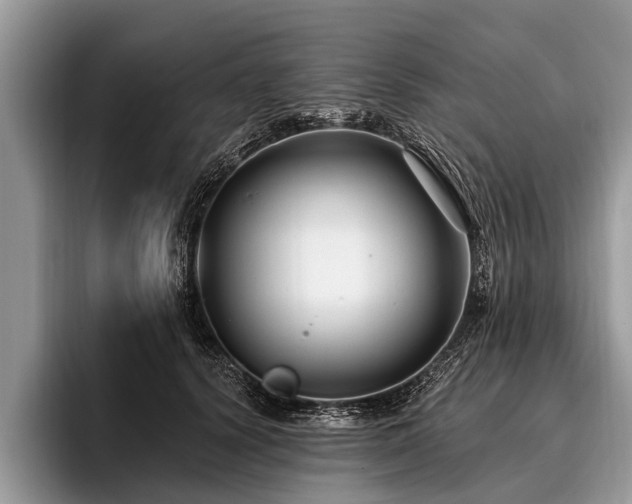 X0000096990656200802081429