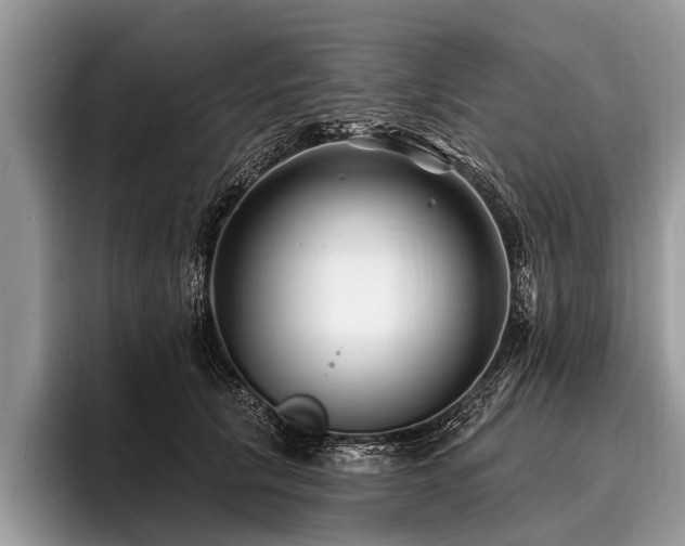X0000096990657200802081429