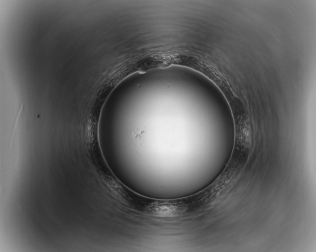 X0000096990658200802081429