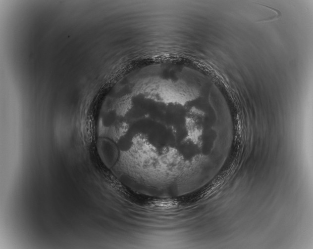 X0000096990659200802081429
