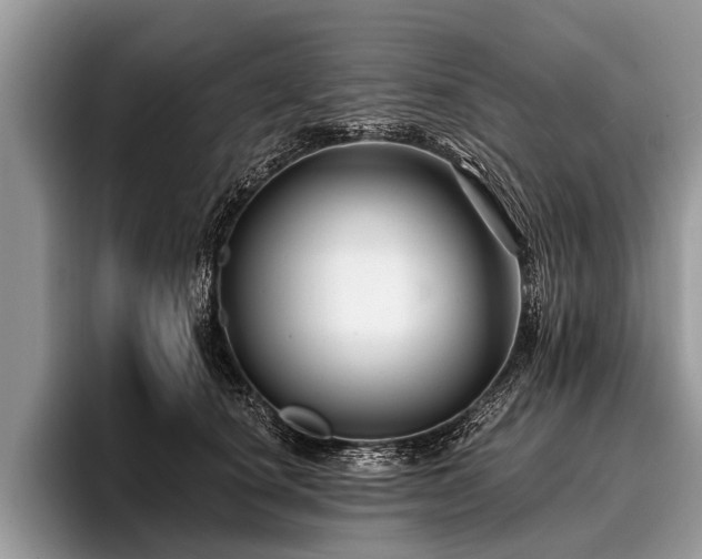 X0000096990660200802081429