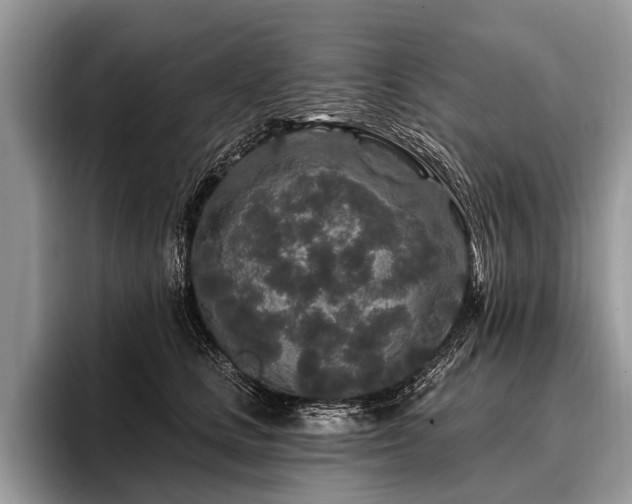 X0000096990661200802081429