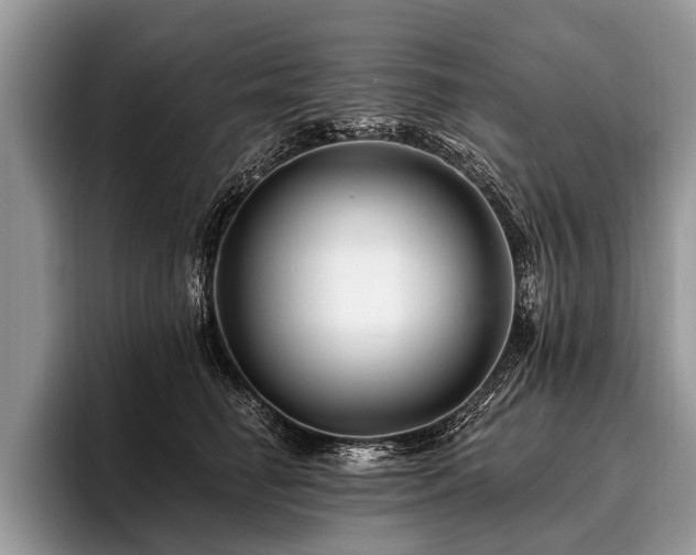 X0000096990662200802081429