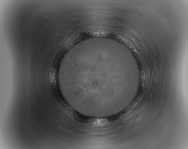 X0000096990663200802081429