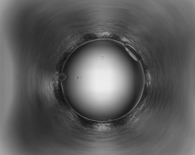 X0000096990664200802081429
