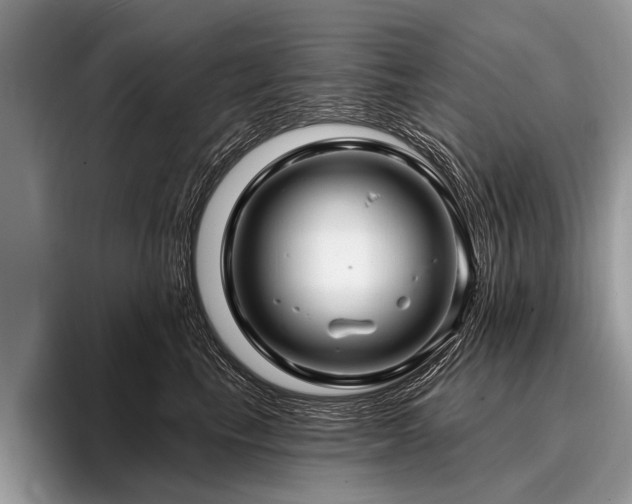 X0000096990665200802081429