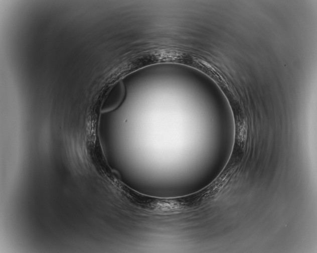X0000096990666200802081429