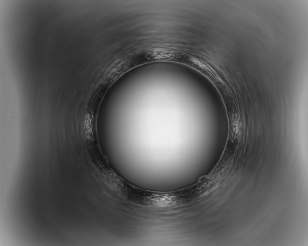 X0000096990667200802081429