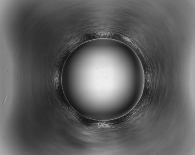 X0000096990668200802081429