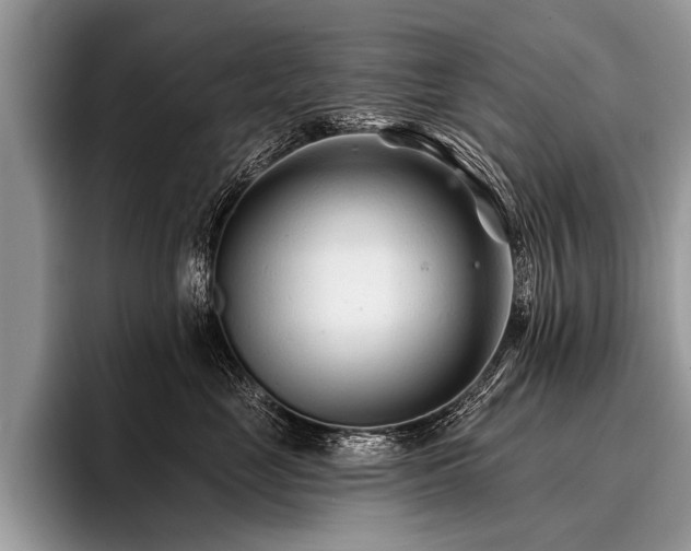 X0000096990669200802081429