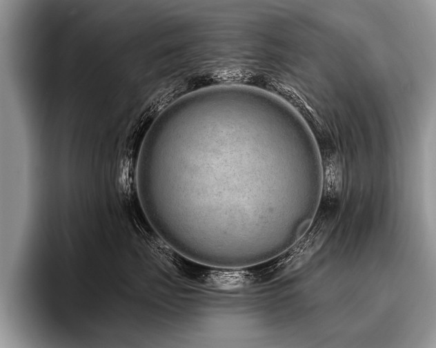 X0000096990671200802081429