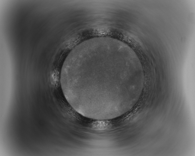 X0000096990672200802081429