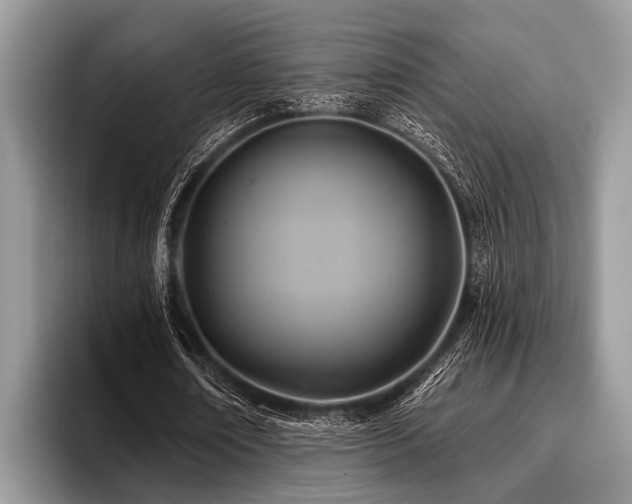 X0000096990674200802081428