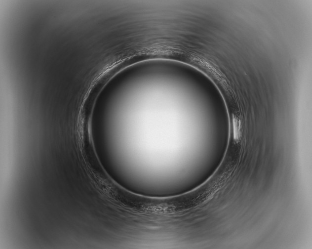X0000096990675200802081428
