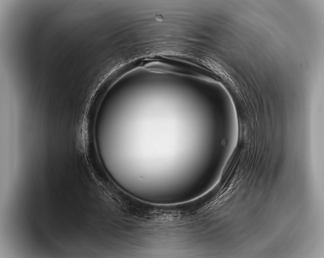 X0000096990676200802081428