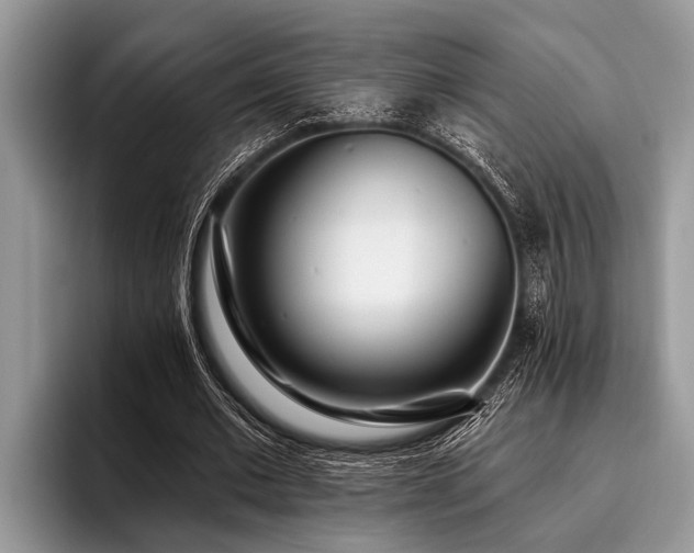 X0000096990677200802081428