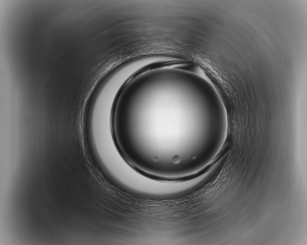 X0000096990679200802081428
