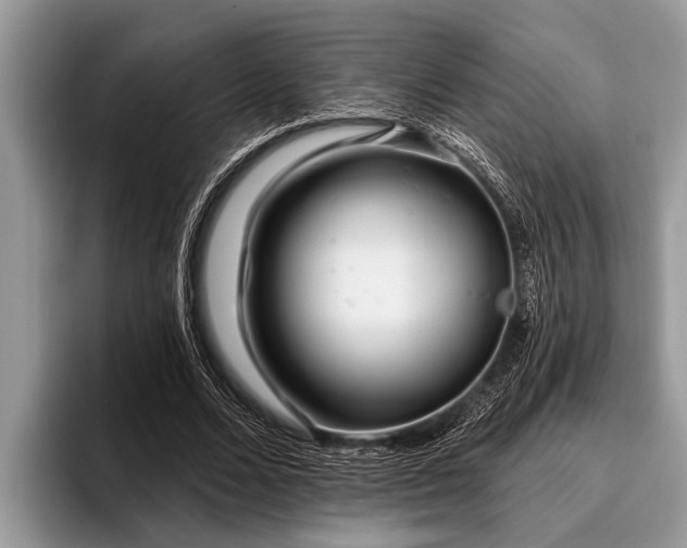 X0000096990680200802081428