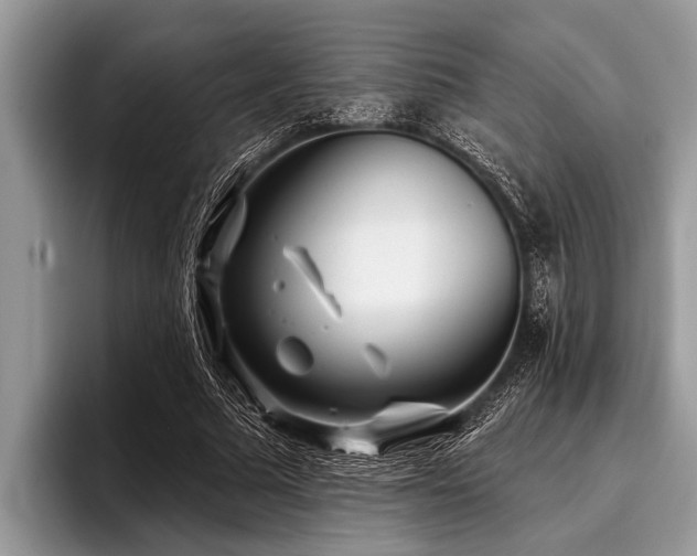 X0000096990681200802081428
