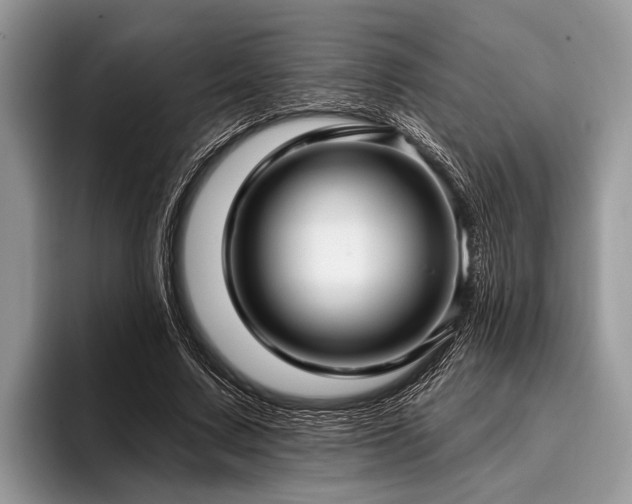 X0000096990683200802081428