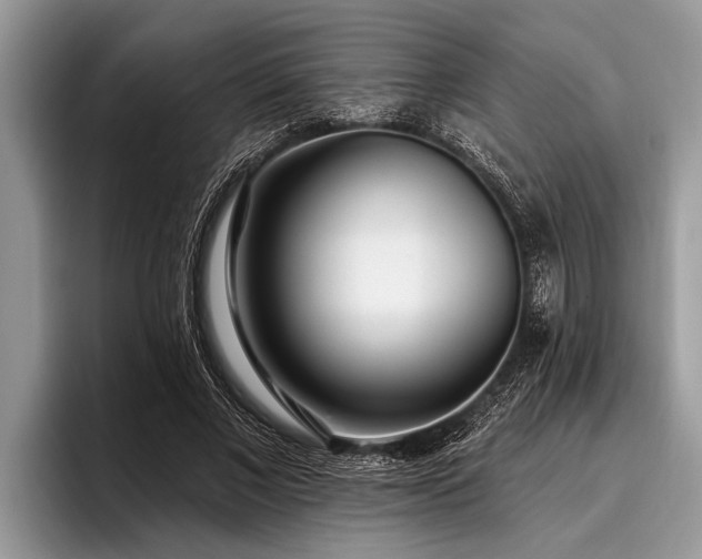 X0000096990685200802081428