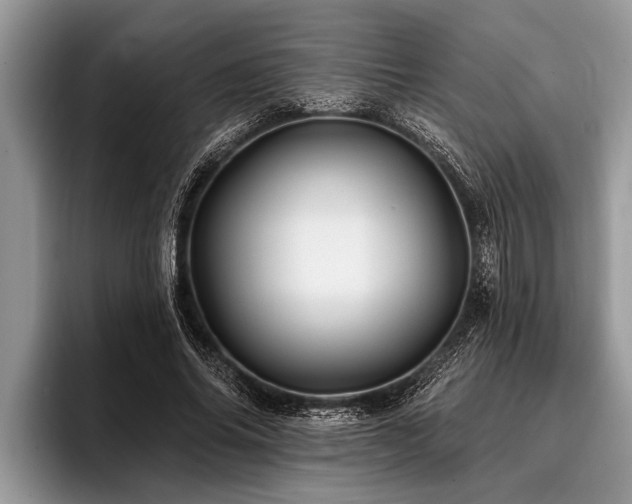 X0000096990686200802081428