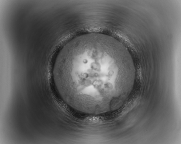 X0000096990687200802081428