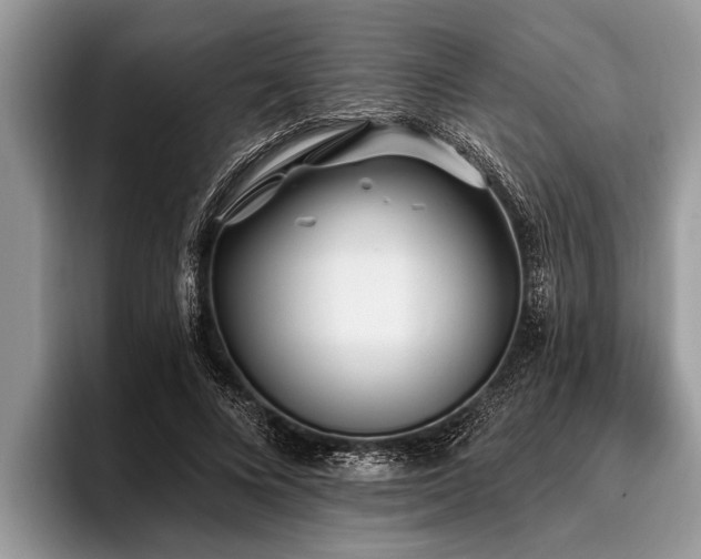 X0000096990688200802081428