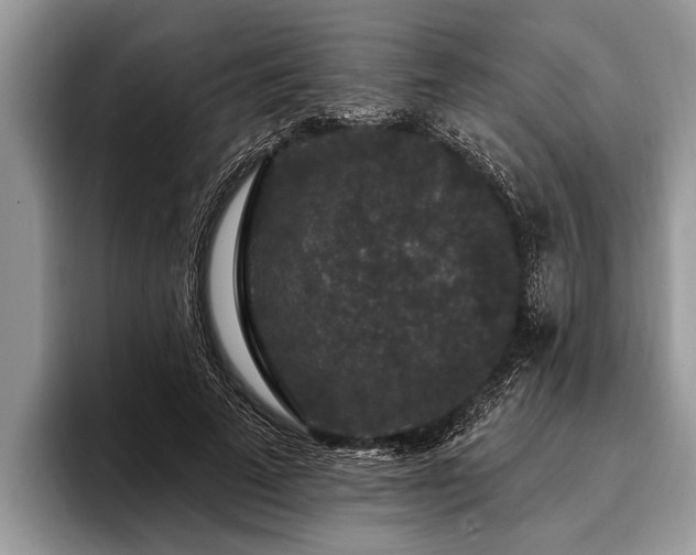 X0000096990689200802081428