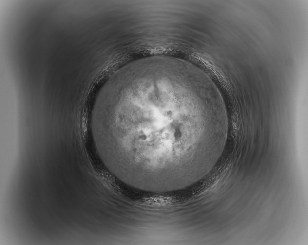 X0000096990691200802081428