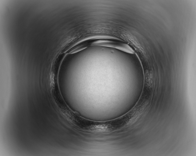 X0000096990692200802081428