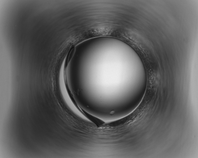 X0000096990693200802081428
