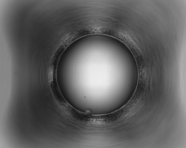 X0000096990694200802081428
