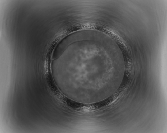 X0000096990696200802081428
