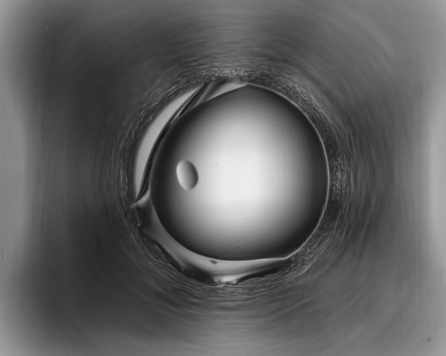 X0000096990700200802081428