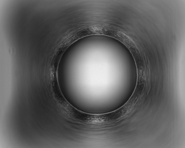 X0000096990702200802081428