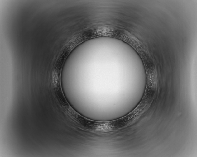 X0000096990705200802081428