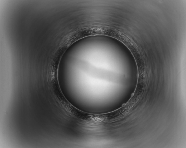 X0000096990706200802081428