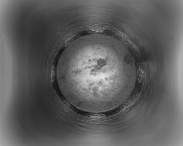 X0000096990707200802081428