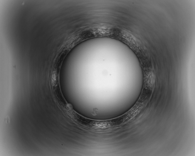 X0000096990709200802081428