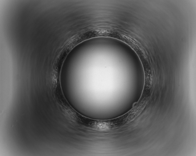 X0000096990710200802081428